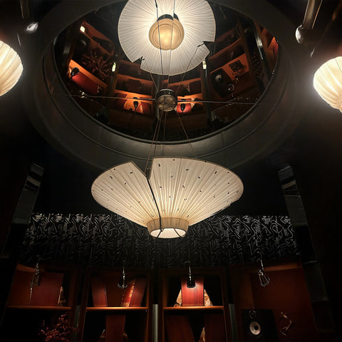 Ceiling with decorative light fixture and patterned ceiling
